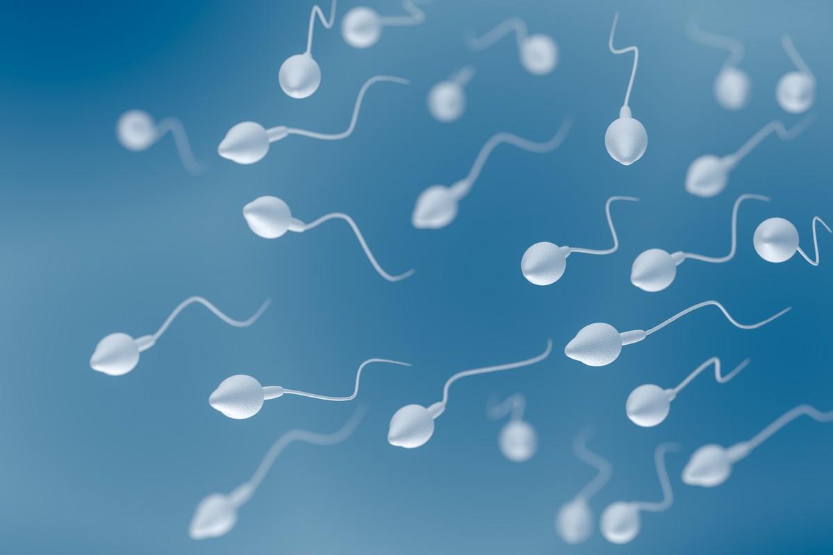 Pourquoi Le Sperme Contient De Moins En Moins De Spermatozo Des