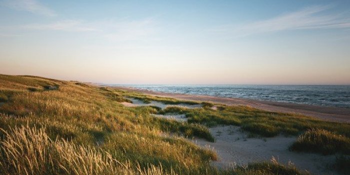 Maladie de Lyme : les 6 zones Ã  risques de morsure de tiques