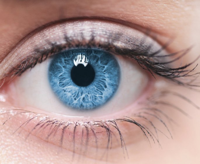 Quels aliments pour de bons yeux ?