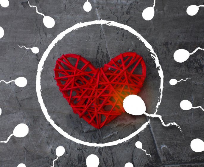 Comment calculer la date d-ovulation apres une fausse-couche