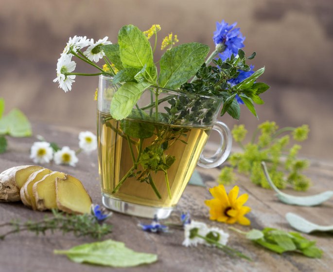 Digestion : les plantes a mettre dans votre tisane