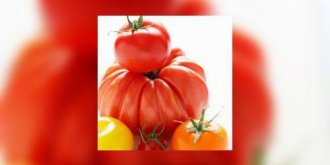 Preparez vos tomates pour l-hiver prochain !