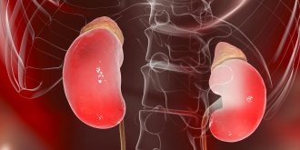 Diabete et complication renale : surveiller la creatinine