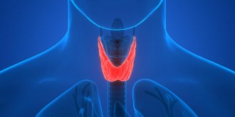 Hyperthyroidie : definition et symptomes