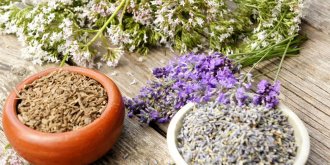 Somniferes : 5 plantes qui aident a bien dormir