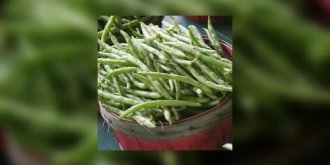 Pourquoi vous devez manger des haricots verts