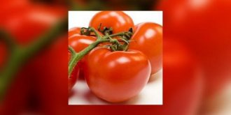 Pourquoi vous allez manger des tomates ? 