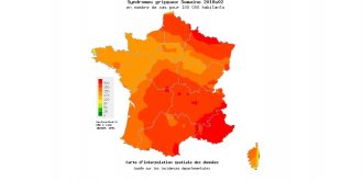 Grippe : l-epidemie connait un redoux depuis deux semaines