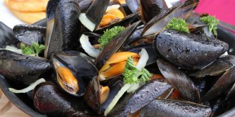 Intoxications a la bacterie E. coli : rappel de moules contaminees