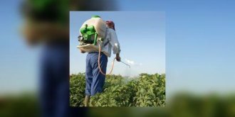 Pesticides : les Francais sont toujours surexposes 