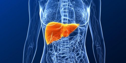 Hepatite C : 1,5 million de morts et 15 millions de cas evitables d’ici 2030