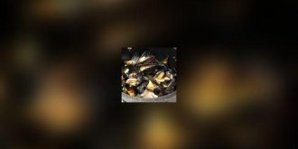 Moules a la noix de coco