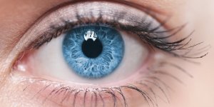 Quels aliments pour de bons yeux ?