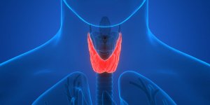 Hyperthyroidie : definition et symptomes