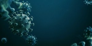 Coronavirus : il criait au complot, puis finit par attraper le Covid-19