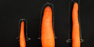 Comment les annees affectent (aussi) le penis !