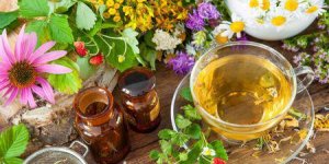 4 plantes pour une bonne digestion