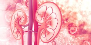 Reins malades : pourquoi surveiller la creatinine ?