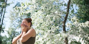 Alerte au pollen : le calendrier des allergies