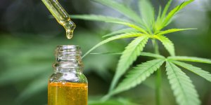 CBD : les bienfaits d-une molecule qui fait parler d-elle