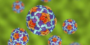 Hepatite A : une transmission principalement alimentaire
