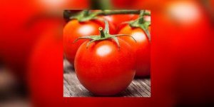 Tomates rouges et mures : pourquoi vous devez en manger souvent 