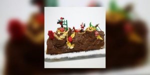 Fetes J - 4 : une buche glacee maison en dessert ? 