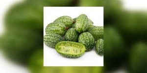 Cucamelon, vous connaissez ? 