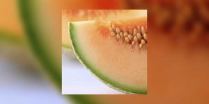 Le melon, je le sers comment ? avec quoi ? 