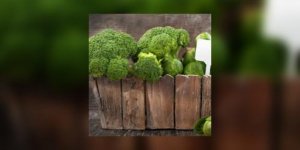 Comment choisir un bon brocoli ?