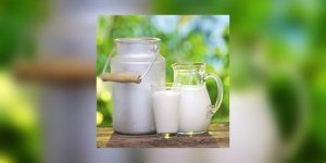 Et si on rehabilitait le lait, les yaourts et le fromage blanc ?