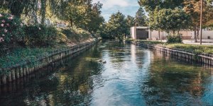 Perturbateurs endocriniens : attention aux eaux des rivieres