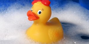 Les canards de bain sont des nids a bacteries