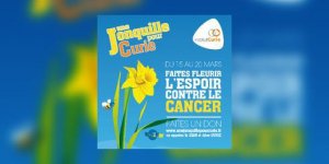 Lutte contre le cancer : une jonquille pour l’Institut Curie