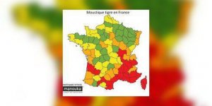 Moustiques tigre : l’invasion s’intensifie