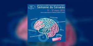 Semaine du cerveau : du 11 au 17 mars 2013