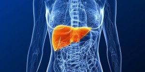 Hepatite C : 1,5 million de morts et 15 millions de cas evitables d’ici 2030