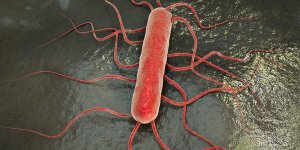 Listeria : rappel de 8 produits contamines