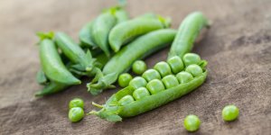 Salade de legumes verts et roses