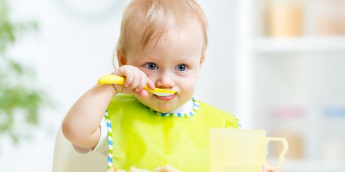 Leclerc Rappelle Des Desserts Pour Bebe Bio Village