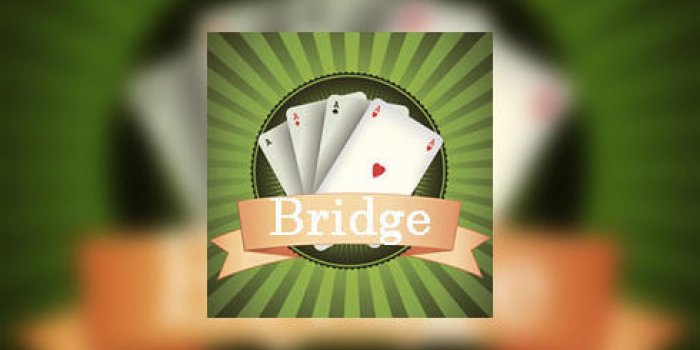 Bridge Le Jeu De Cartes Qui Protege Contre La Demence Et Alzheimer