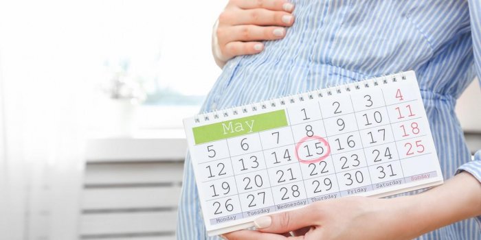 Semaines Et Mois De Grossesse Comprendre Le Calendrier De Sa Grossesse