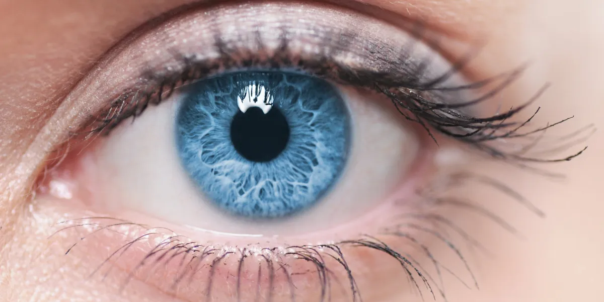a close-up of a blue female human eye a close-up of a blue female human eye