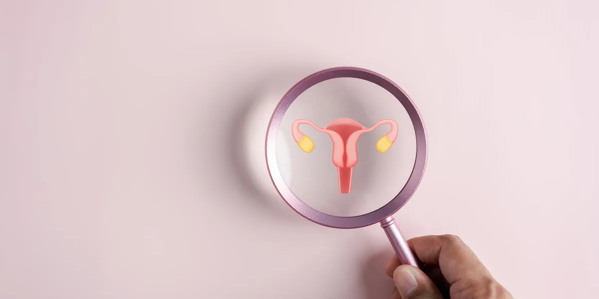 checkup uterus reproductive system , women's health, pcos, ovary cancer treatment and examine, healthy feminine concept checkup uterus reproductive system , women's health, pcos, ovary cancer treatment and examine, healthy feminine concept
