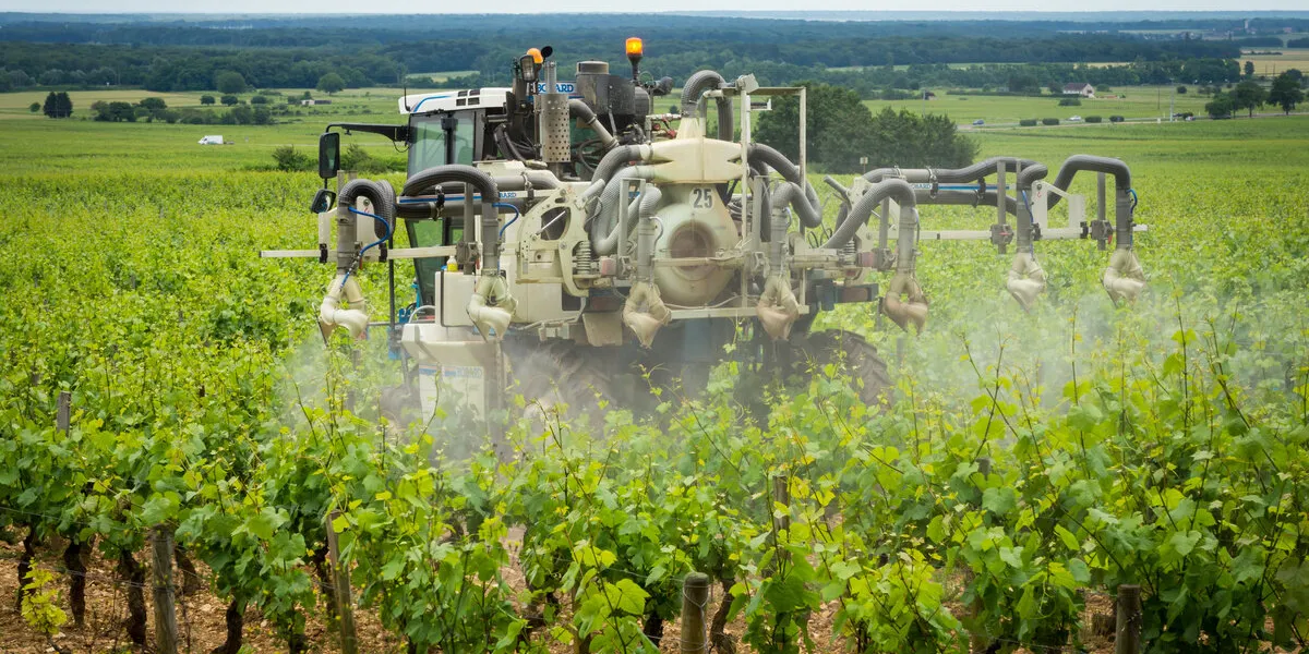 traitement chimique dans les vignes traitement chimique dans les vignes