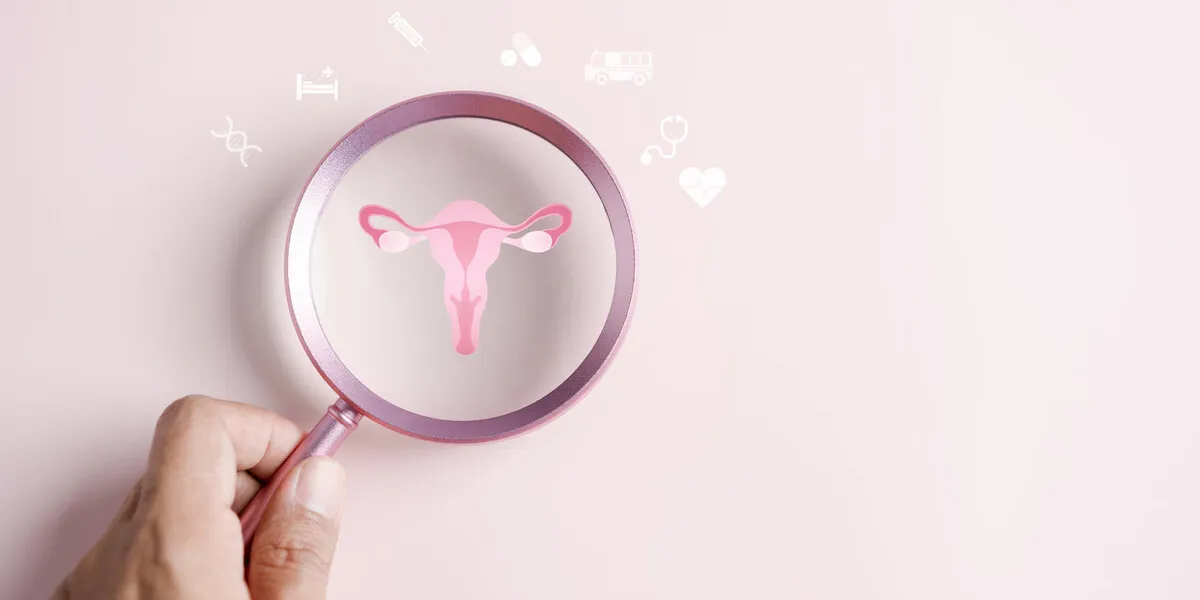 checkup uterus reproductive system , women's health, pcos, ovary cancer treatment and examine, healthy feminine concept checkup uterus reproductive system , women's health, pcos, ovary cancer treatment and examine, healthy feminine concept