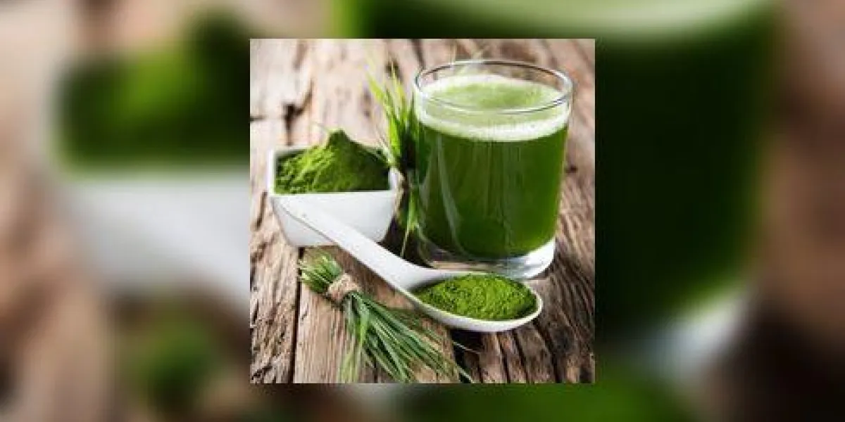 jeune orge et chlorella spirulina detox superfood jeune orge et chlorella spirulina detox superfood
